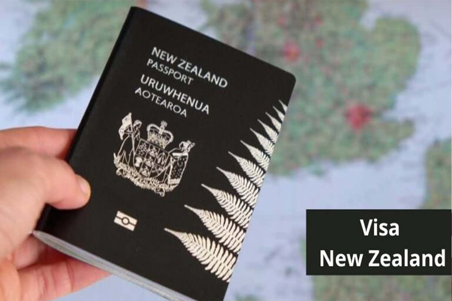 Visa newzealand